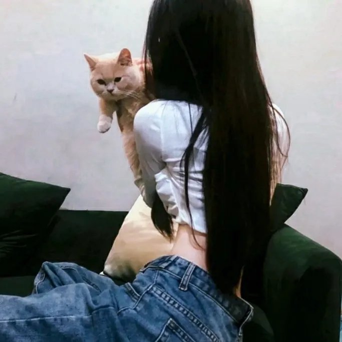 扶桑花女孩之舞封面